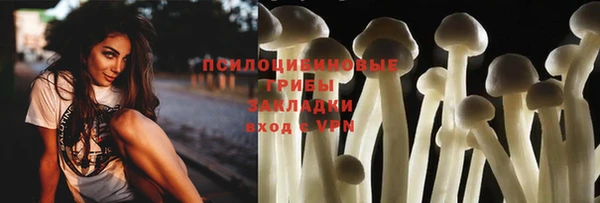 шишки Абдулино