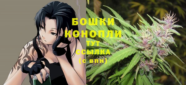 шишки Абдулино
