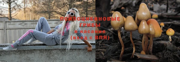 шишки Абдулино