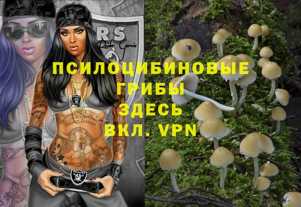 шишки Абдулино